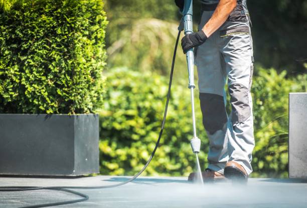 Best Animal Enclosure Cleaning  in Appleton City, MO